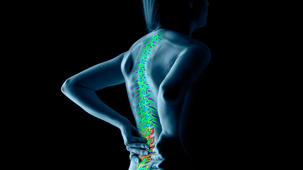 preview for 13 Things You Never Knew About Back Pain