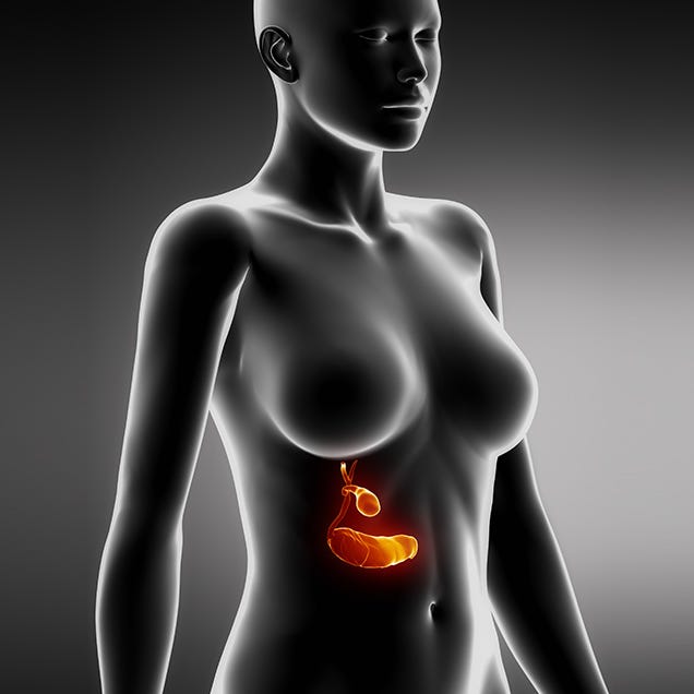 Need to know about your pancreas