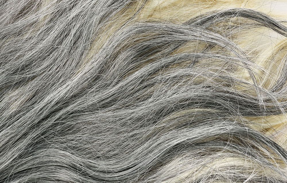 30 Gray Hair Before and After Pix that Will Blow Your Mind
