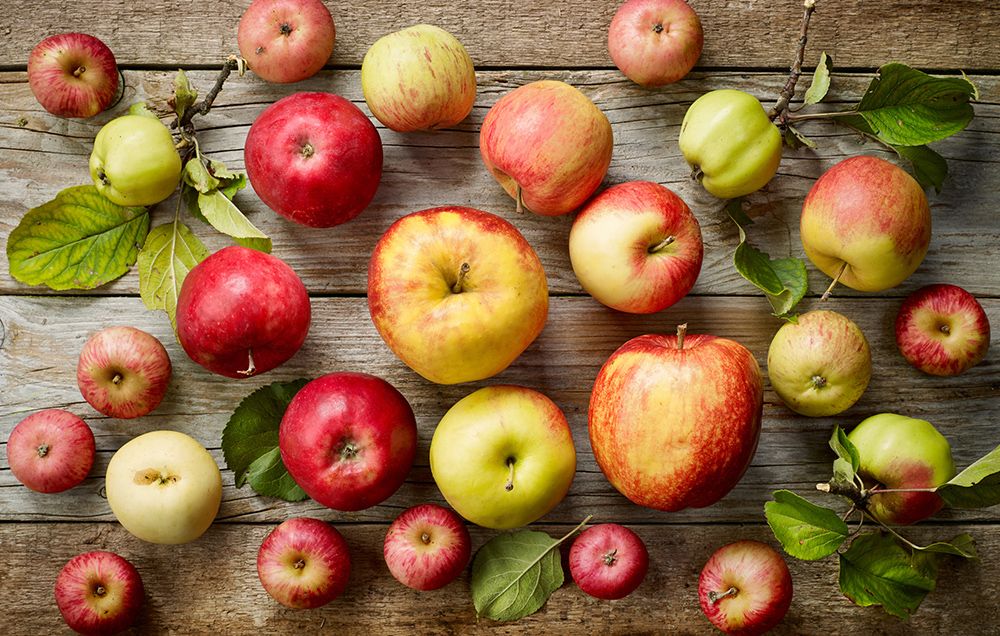 How to Pick the Best Apples