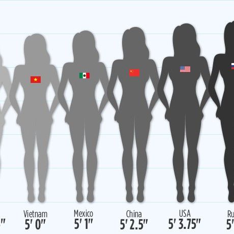 Height Graphic