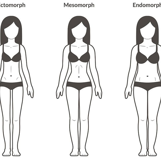 Female weight different body type of womans Vector Image