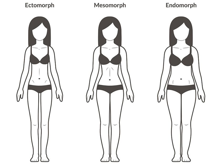 average woman body proportions