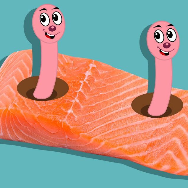 Uh-Oh—Your Salmon Might Be Filled With Tapeworms