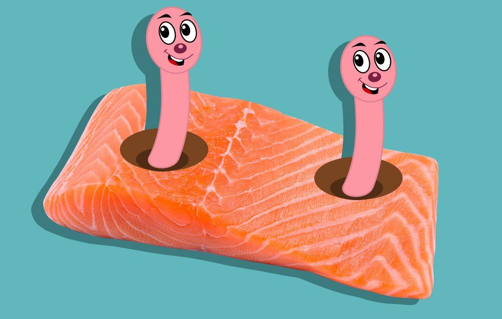 Uh-Oh—Your Salmon Might Be Filled With Tapeworms