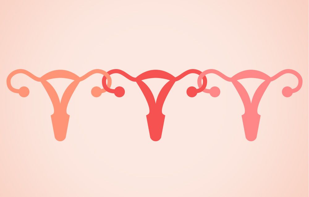 sync menstrual cycles