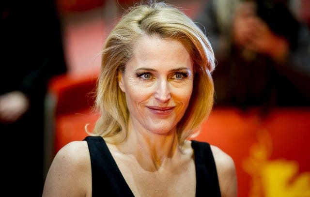 We. A Manifesto for Women Everywhere - Gillian Anderson,Jennifer Nadel