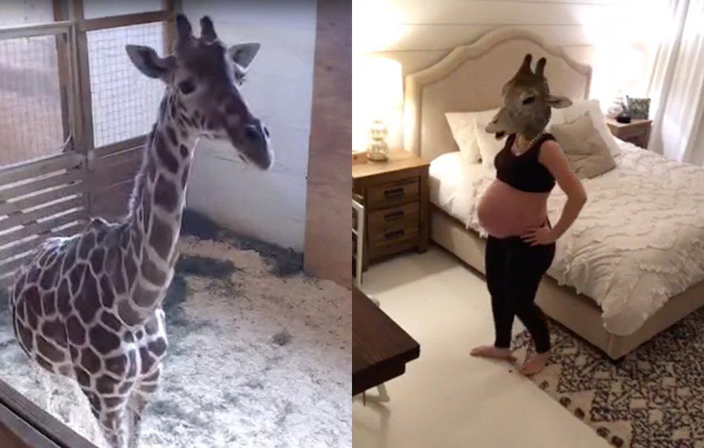 April The Giraffe: Pregnant Mom Impression | Women's Health
