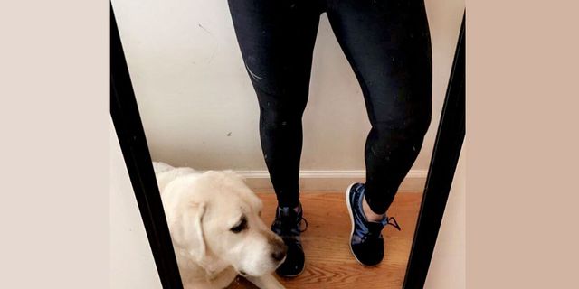 If You Own A Pet, You NEED These Leggings In Your Life