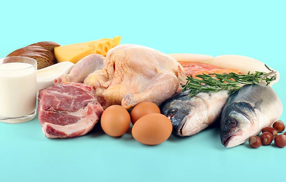 Protein Paradise: Eating Your Way to Gains