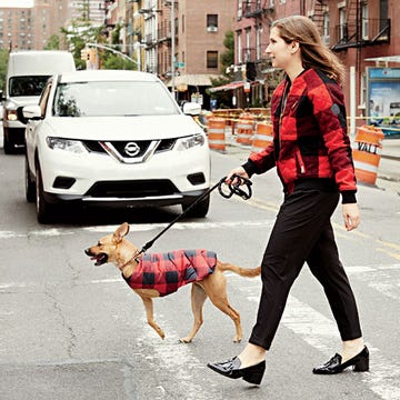 Ridiculously cute and comfy clothes for you and your dog