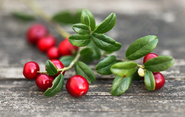 Cranberry Nutrition | Women&amp;#39;s Health