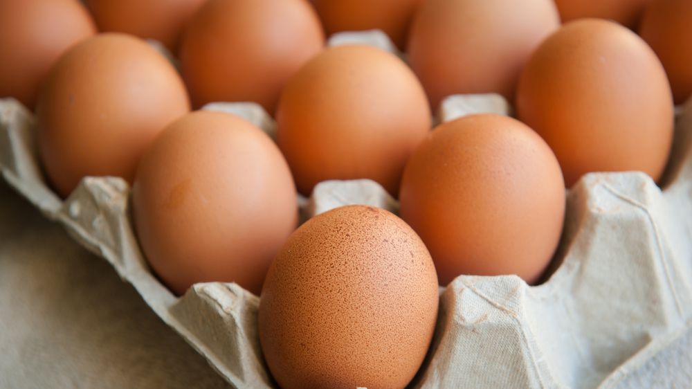 preview for Hack Your Health: Is Your Egg Fresh?