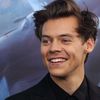 Harry Styles Confirms He Has Four Nipples!: Photo 3929872, Harry Styles,  Shirtless Photos