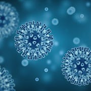 Hepatitis A Hepatitis A