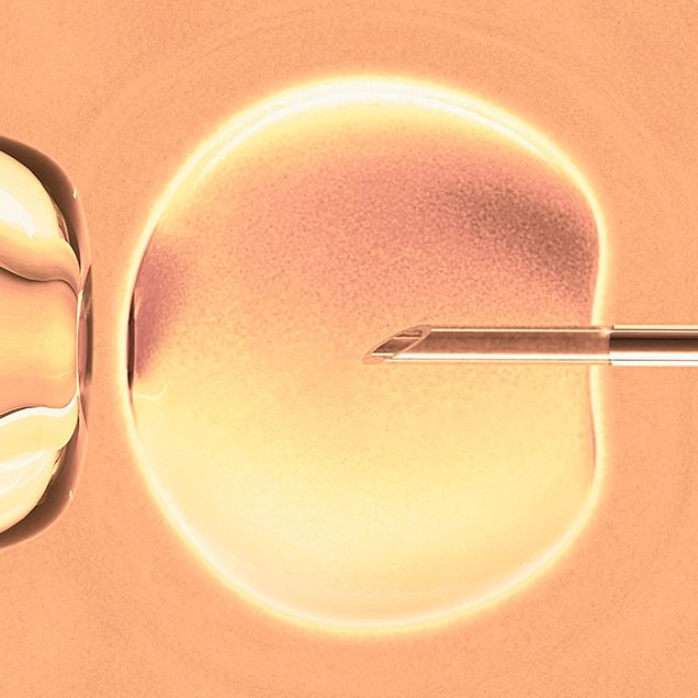How long to try fertility treatments