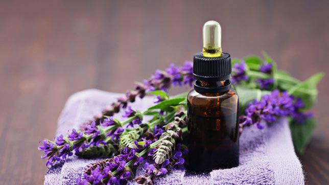 preview for 6 Essential Oils For Your Body and Mind