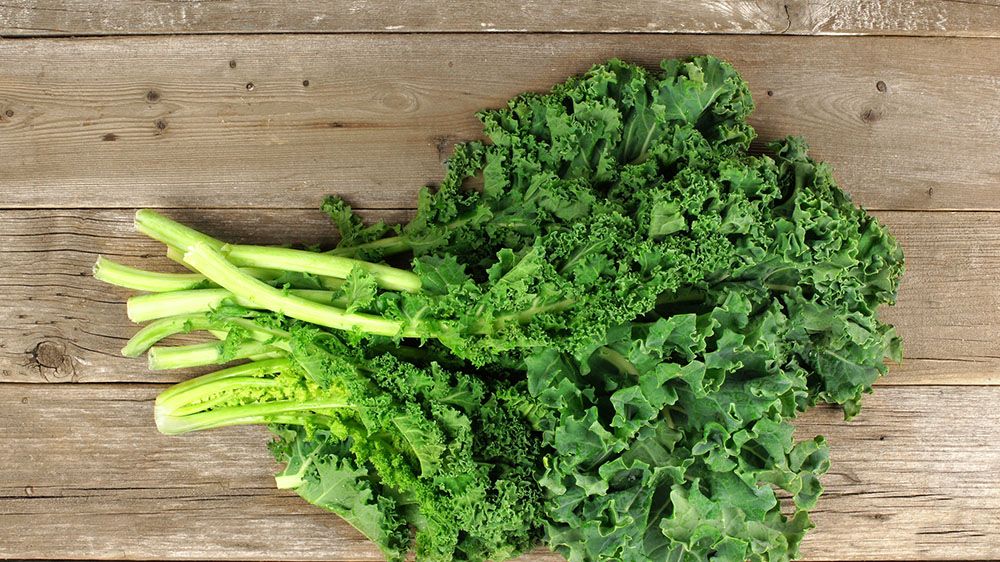 Here's why you should eat cooked kale leaves