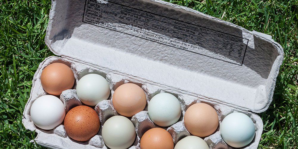Яйца лучше купить. Какие яйца лучше брать для еды. Какие бывают яйца.