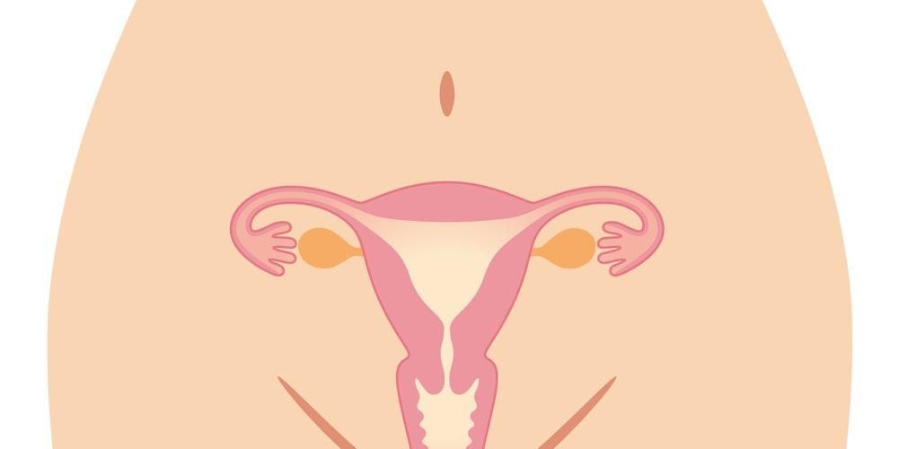 7 Things You Should Know About Twisted Ovaries