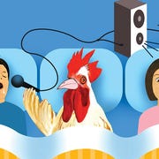 Noise disrupting sleep Noise disrupting sleep