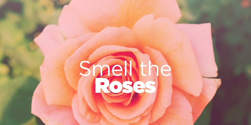 8 Rose Infused Beauty Products Your Skin Will Live For Womens Health 