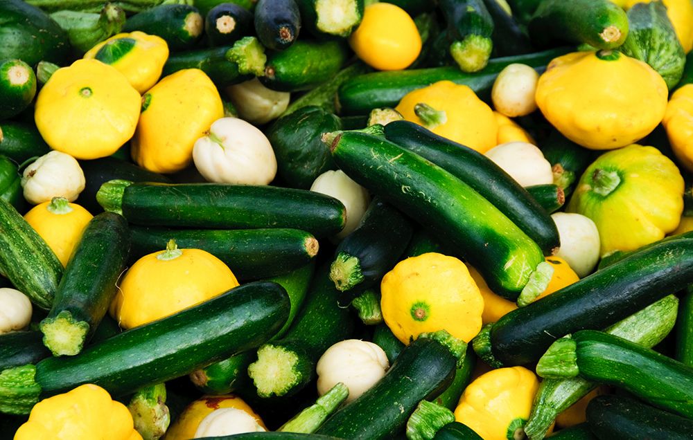 zucchini and summer squash nutrition