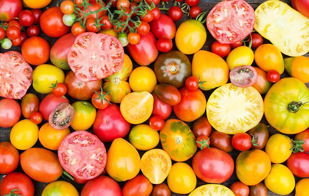 Most popular tomatoes 