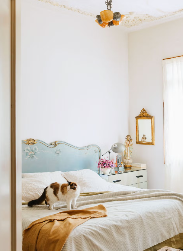 bed with cat 