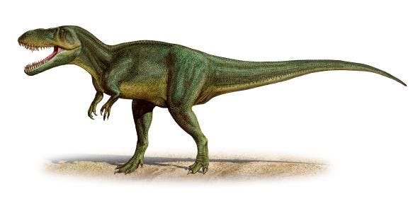Wetenschappers dachten eerder dat de T gurneyi hoorden bij de verwante soort Torvosaurus tanneri hier afgebeeld