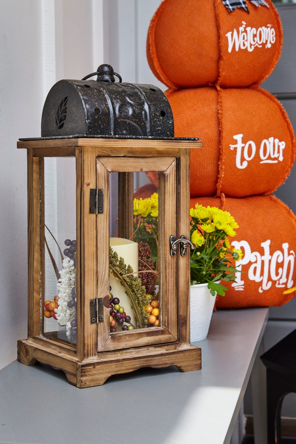 Shelf, Furniture, Room, Pumpkin, Plant, Window, Interior design, 