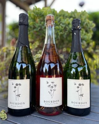 bourdon wine