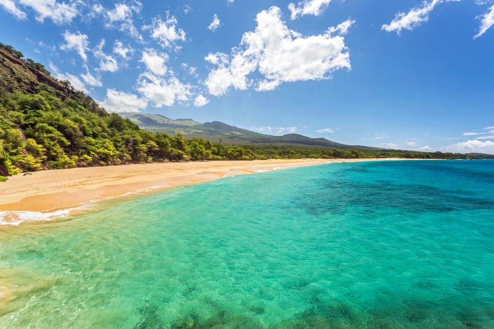 Tropical paradise found