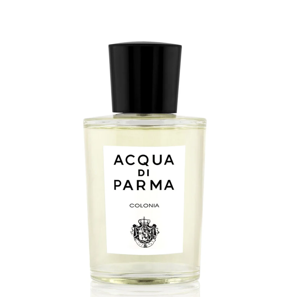perfumes frescos diario 2022