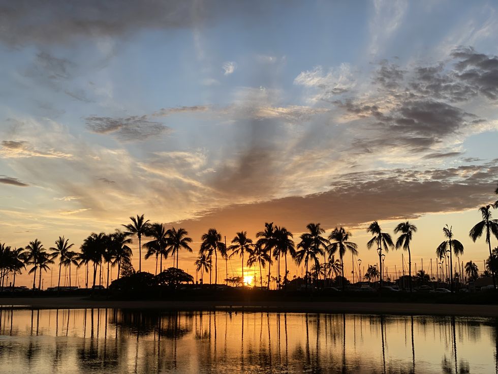 Sky, Tree, Reflection, Nature, Sunset, Cloud, Palm tree, Evening, Arecales, Afterglow, 