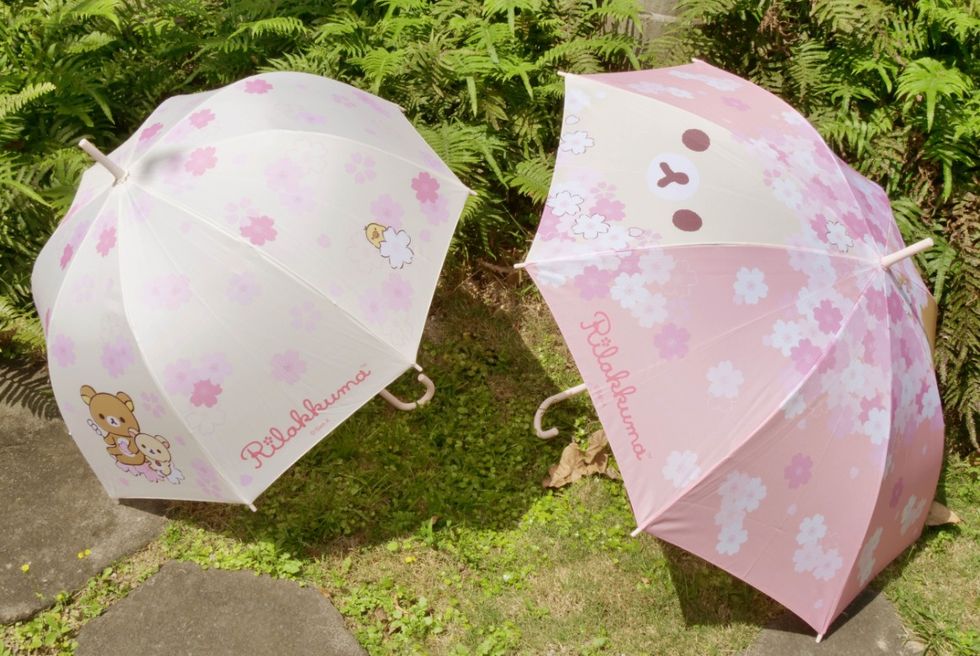 Umbrella, Pink, Fashion accessory, Grass, Plant, 