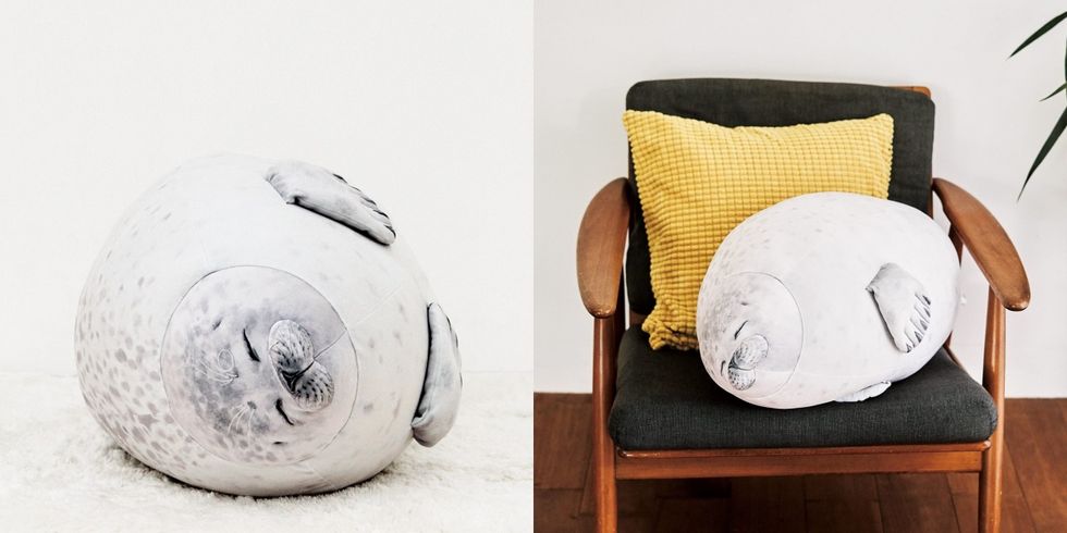 Costume accessory, Throw pillow, Pillow, Still life photography, Cushion, Circle, Home accessories, Earless seal, Baltic gray seal, Costume hat, 