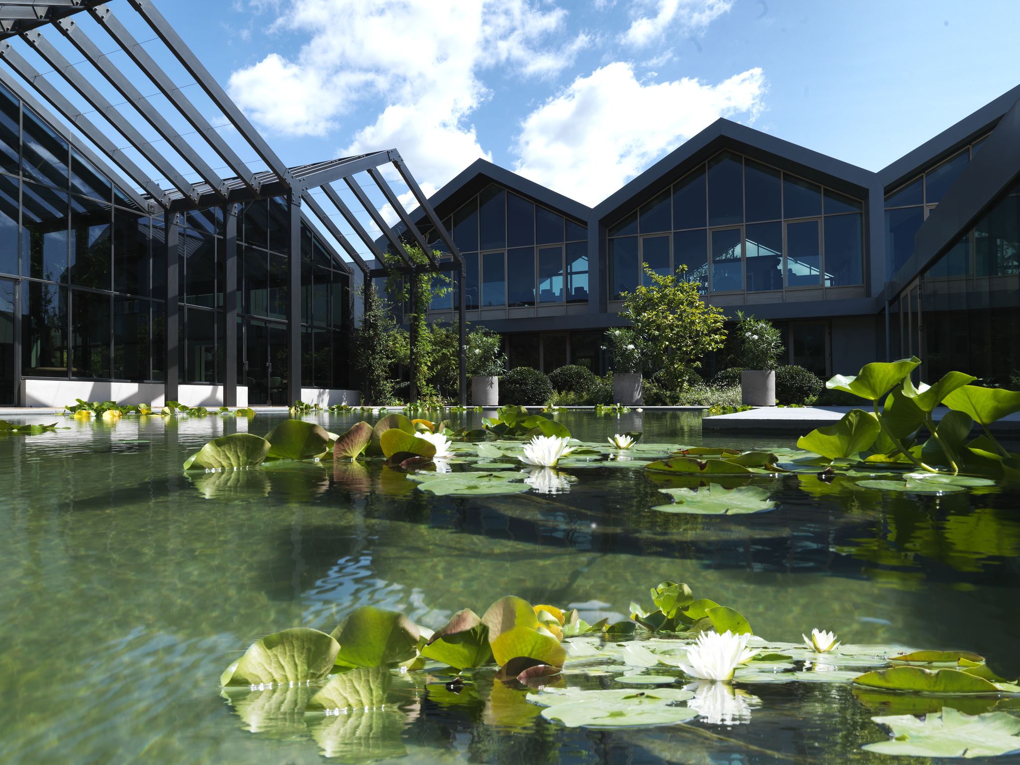 Water, Vegetation, Pond, Botany, Aquatic plant, Architecture, Botanical garden, water lily, Biome, Reflection, 