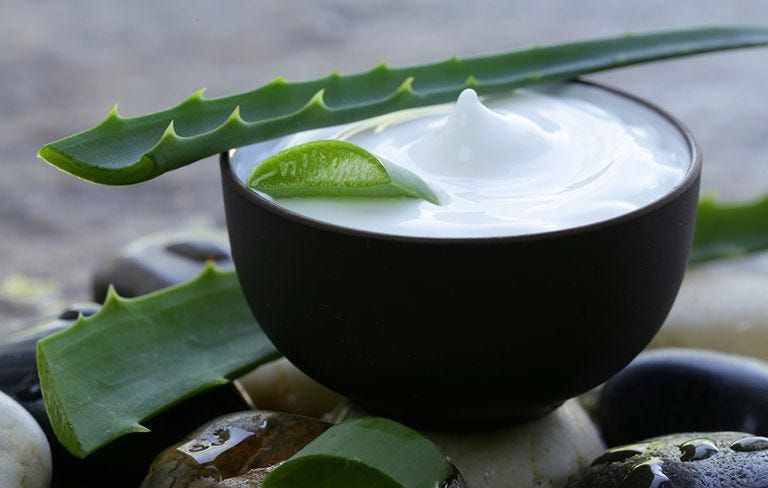 aloe