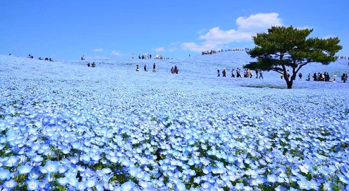 top 20 virtual tours of japan's iconic landmarks