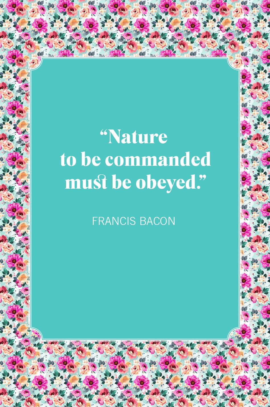 nature quotes francis bacon