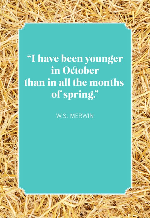 october quotes ws merwin