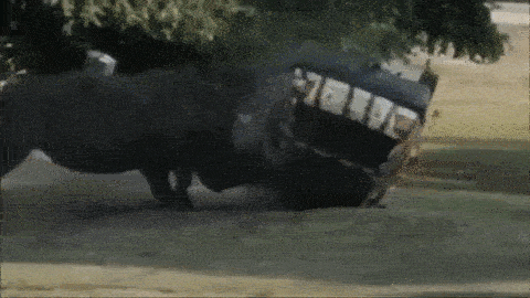Rinoceronte ataca a un coche