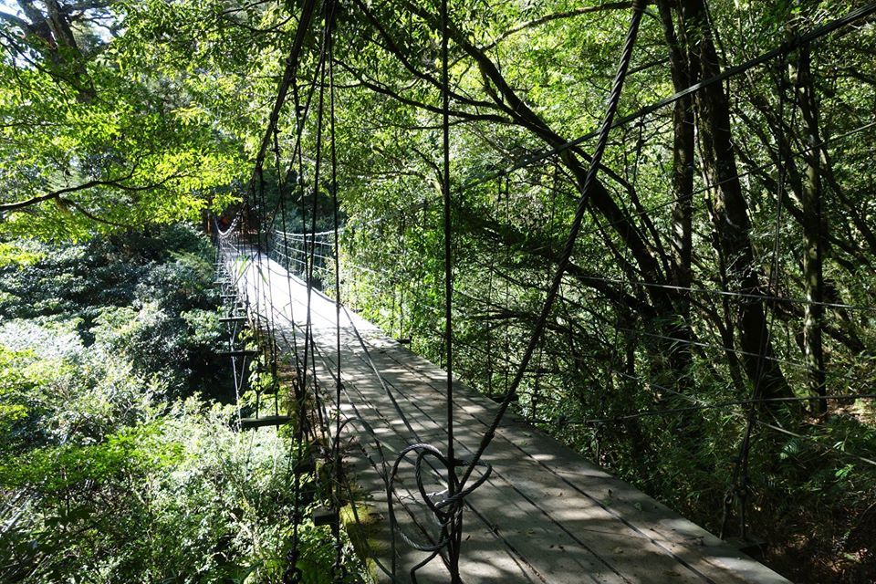 奇萊南峰路線上的吊橋