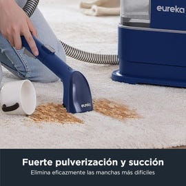 limpiador de manchas