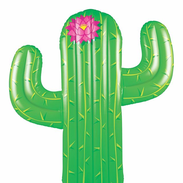 Cactus, Green, Saguaro, Plant, Font, Caryophyllales, Succulent plant, Flower, 