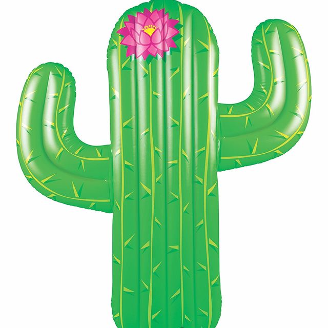 Cactus, Green, Saguaro, Plant, Font, Caryophyllales, Succulent plant, Flower, 