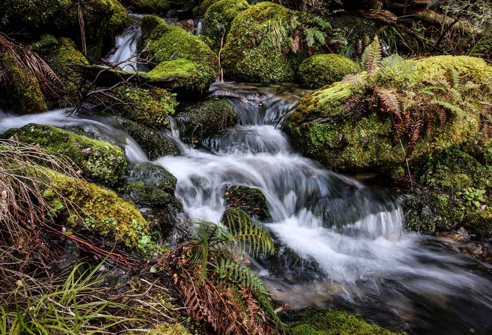 NZEALAND-LANDSCAPES