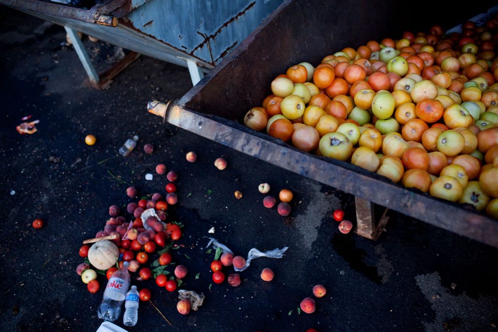 Onverkochte tomaten vullen een afvalcontainer op een boerenmarkt in Asheville NoordCarolina ook al wordt een gedeelte van het afgewezen voedsel vijf dagen per week ingezameld door plaatselijke voedselbanken Ongeveer 26 procent van alle verse tomaten in de VS bereikt de consument nooit