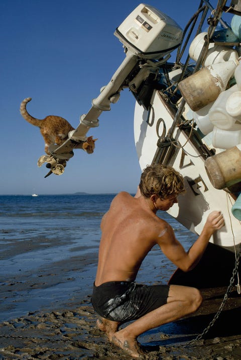 Terwijl tiener Robin Lee Graham op een strand bij Darwin in Australi zijn boot schoonmaakt kijkt zijn maatje Avanga vanaf een gevaarlijk wankele positie toe